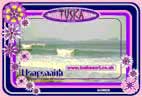 Photo of Womens and Girls surf swim wear