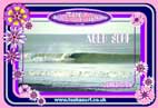 Photo of Womens and Girls surf swim wear