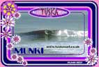 Photo of Womens and Girls surf swim wear