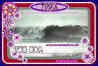 Photo of Womens and Girls surf swim wear