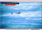 surf and surfing photos of tubing waves at Mechihones in Fuerteventura Canarie Islands